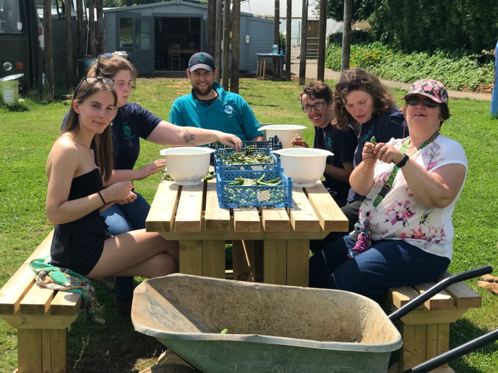 People sitting at a picnic table, shucking beans