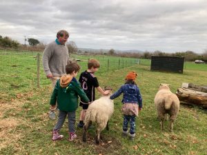 Children meet the resident sheep at Ark at Egwood